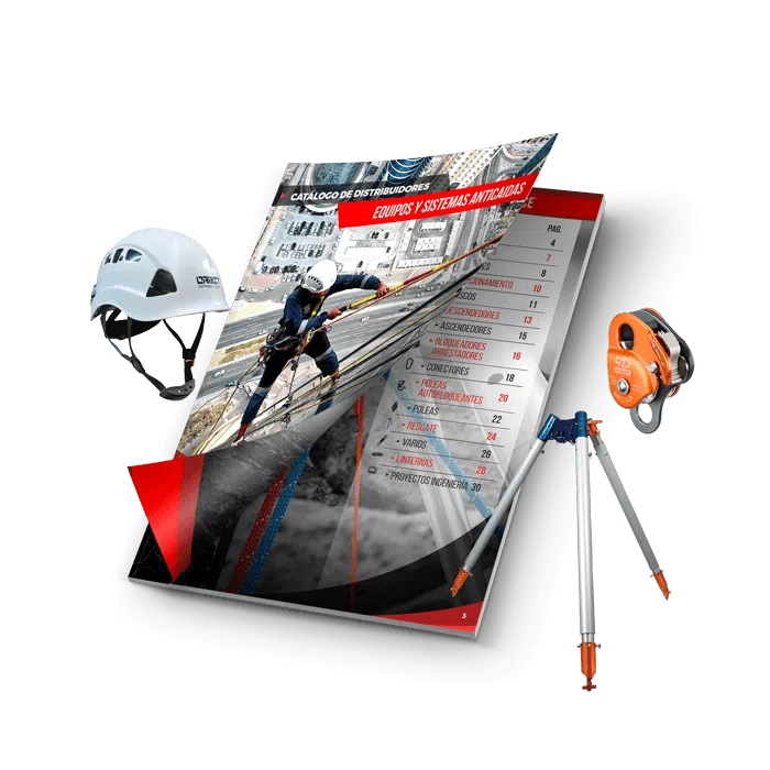 DISEÑO DE CATALOGOS